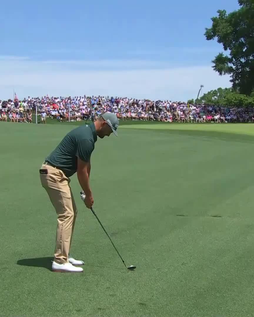 Elite divot