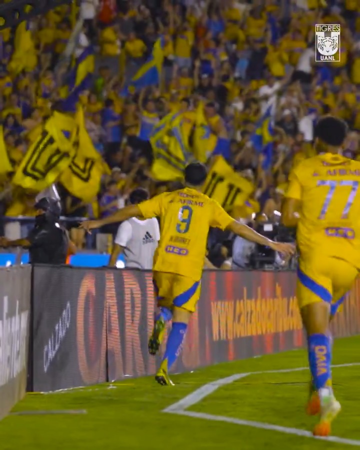 ¡𝗖𝗼𝗻𝗳𝗶𝗮𝗻𝘇𝗮 𝘁𝗼𝘁𝗮𝗹, 𝘃𝗮𝗺𝗼𝘀 𝗹𝗼𝘀 𝗧𝗶𝗴𝗿𝗲𝘀! 👊🏼🐯