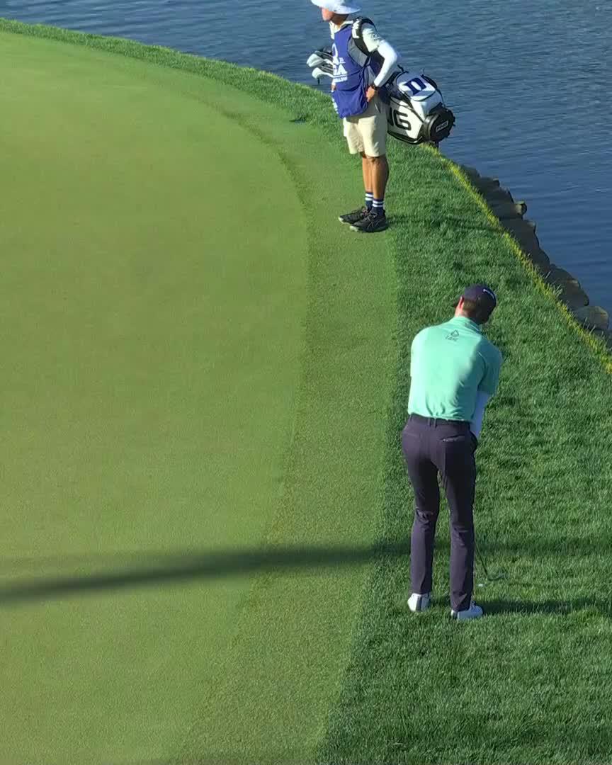 Come for Alex Smalley's incredible shot... Stay for his awesome celebration 🙌 #PGAChamp