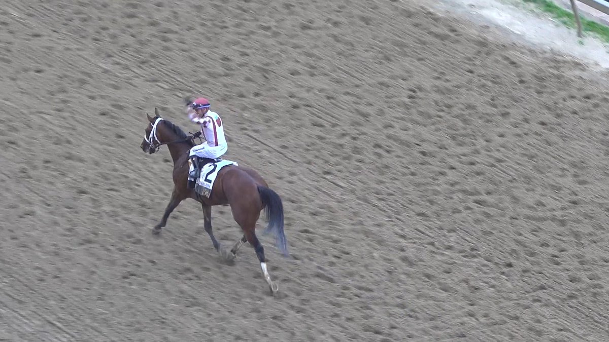 🌻 Umberto Rispoli hyping up the #Preakness crowd after winning the G1 Preakness Stakes🌻