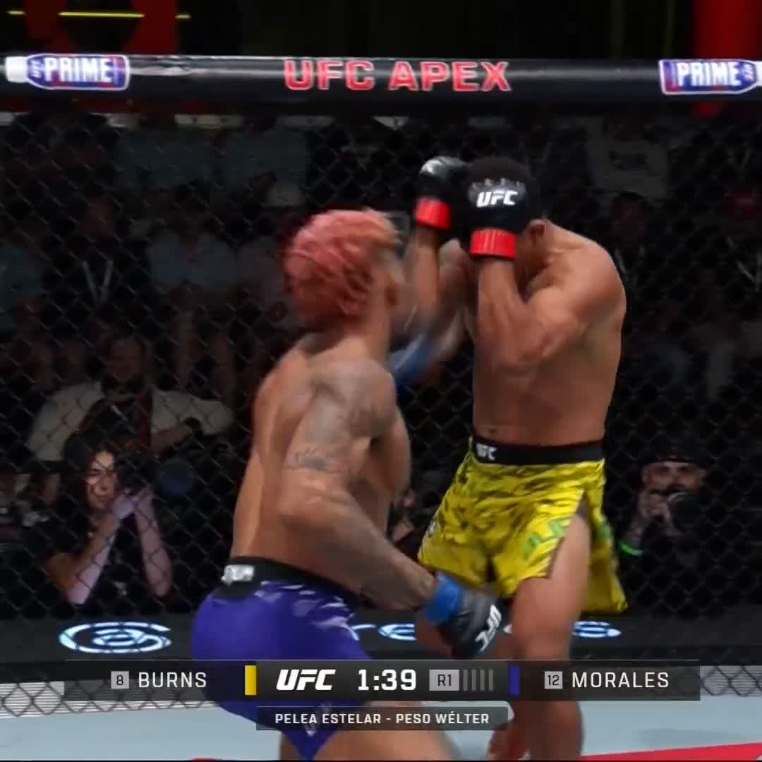 MORALEEEES! 🇪🇨🇪🇨🇪🇨 #UFCVegas106