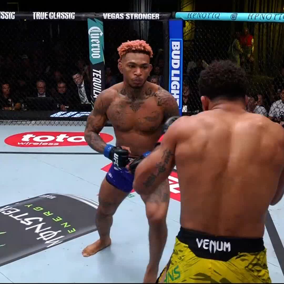 Grรญtalo ECUADOR ๐ช๐จ๐ช๐จ ๐จ #UFCVegas106