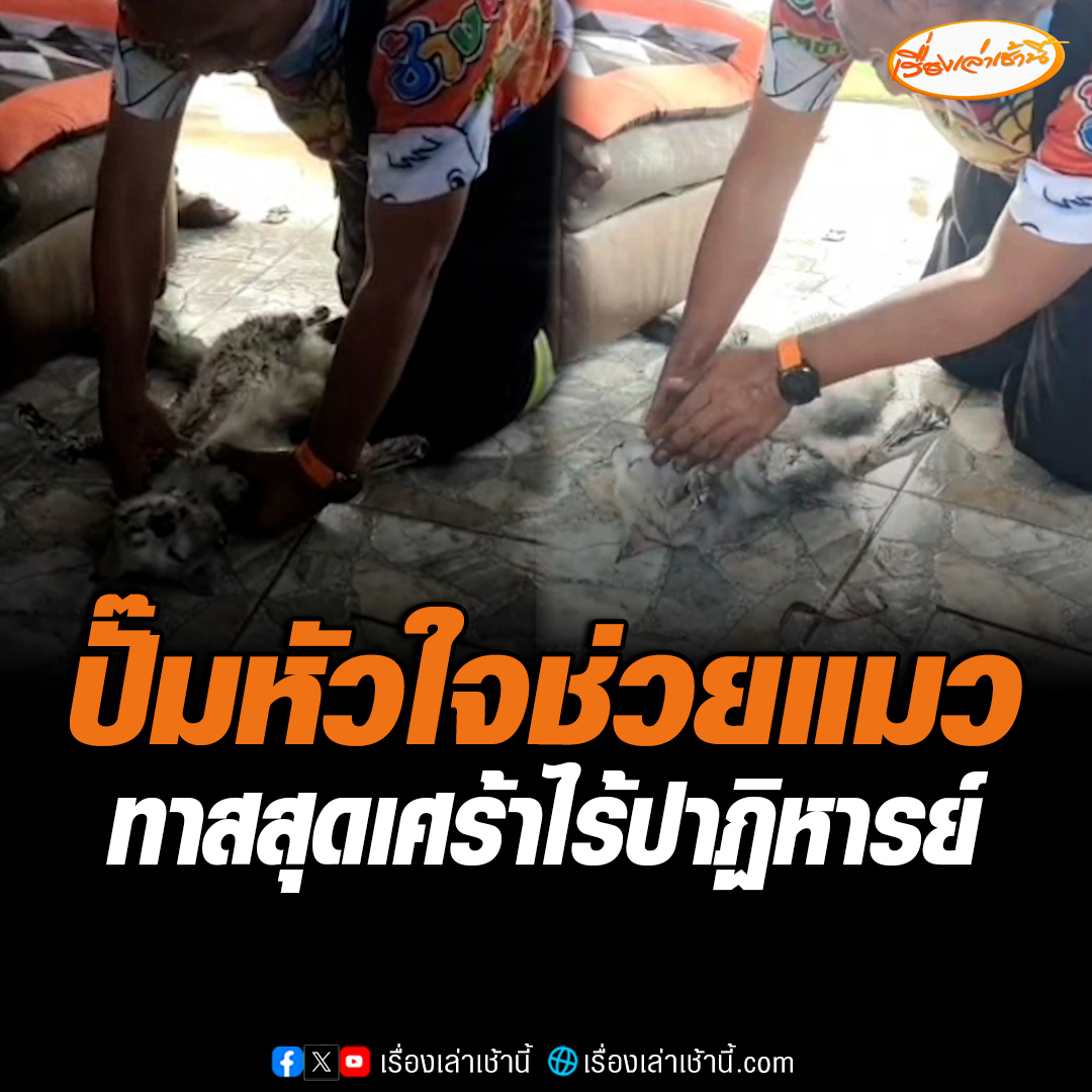 เจ้าหน้าที่ระงับเหตุดับไฟไหม้ เจอแมวตอนหงายท้อง รีบเข้าช่วยทำ CPR สุดกำลัง แต่ก็ช่วยไม่ทันคาดว่าสำลักควันไฟ ทำทาสแมวสุดเศร้า #เรื่องเล่าเช้านี้ #ข่าวช่อง3 #ข่าวภูมิภาค #ระยอง