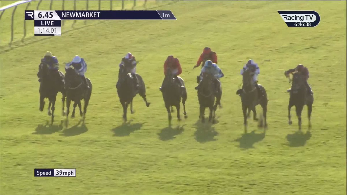 Great finish to the final race on the Sky Bet Sunday Series card Newmarket Racecourse. Ryka (7-1) edges home under Hector Crouch for David O'Meara