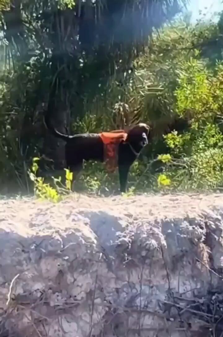 Ih qual foi tá com vazamento