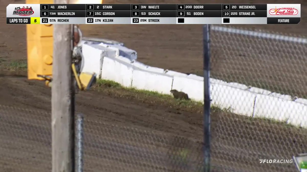 🤔 The Badger Midget Feature at Angell Park Speedway was briefly interrupted by a visitor tonight
