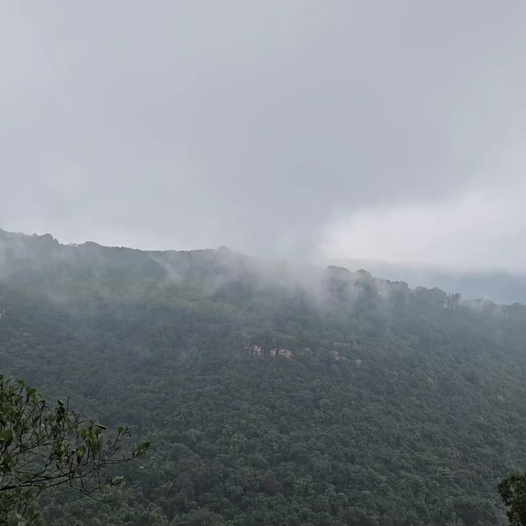 Tirumala - Tirupathi hills today 🙏🏻🙏🏻🙏🏻