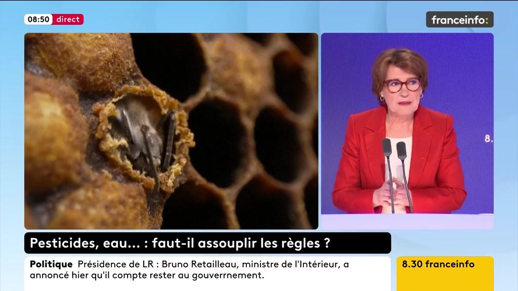 🔴 Abeilles et pesticides ➡️ "Ce n'est pas un retour des pesticides, ce n'est pas un retour des néonicotinoïdes, c'est la possibilité d'utiliser un néonicotinoïde, un assimilé néonicotinoïde [Acétamipride] qui n'est pas comme les autres", dit Annie Genevard.