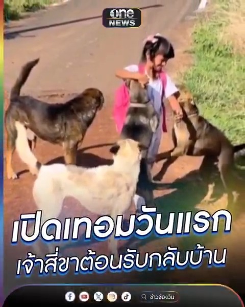 เปิดเทอมวันแรก เจ้าสี่ขาต้อนรับกลับบ้าน #ข่าวนี้ต้องเล่า