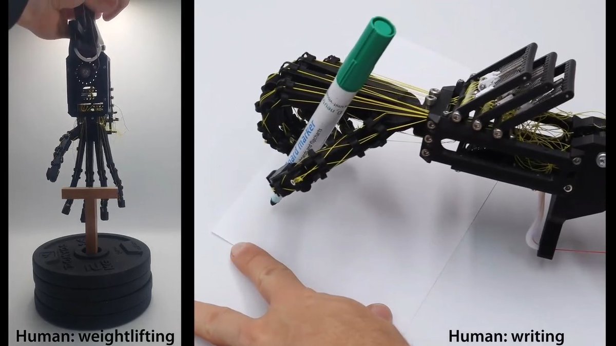 A new Science Robotics study describes diverse designs for bioinspired robotic hands, including a human hand that can write on paper and an aye-aye hand that can grasp trees for climbing.