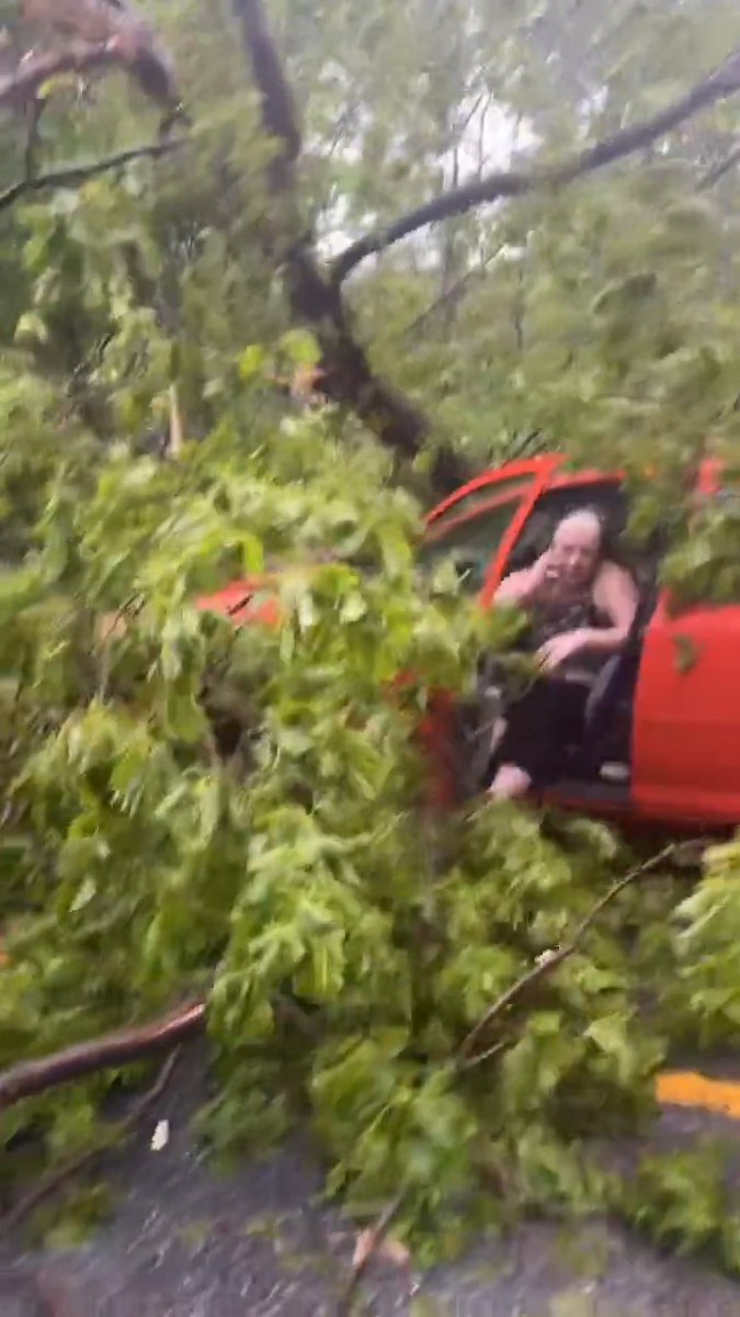Tree falls onto a road in rural Vermont and a woman (I'm assuming based on the footage...) seemingly doesn't see it and drives right into it 😎👀 #rural #women #WTF #Fail #IQtest
