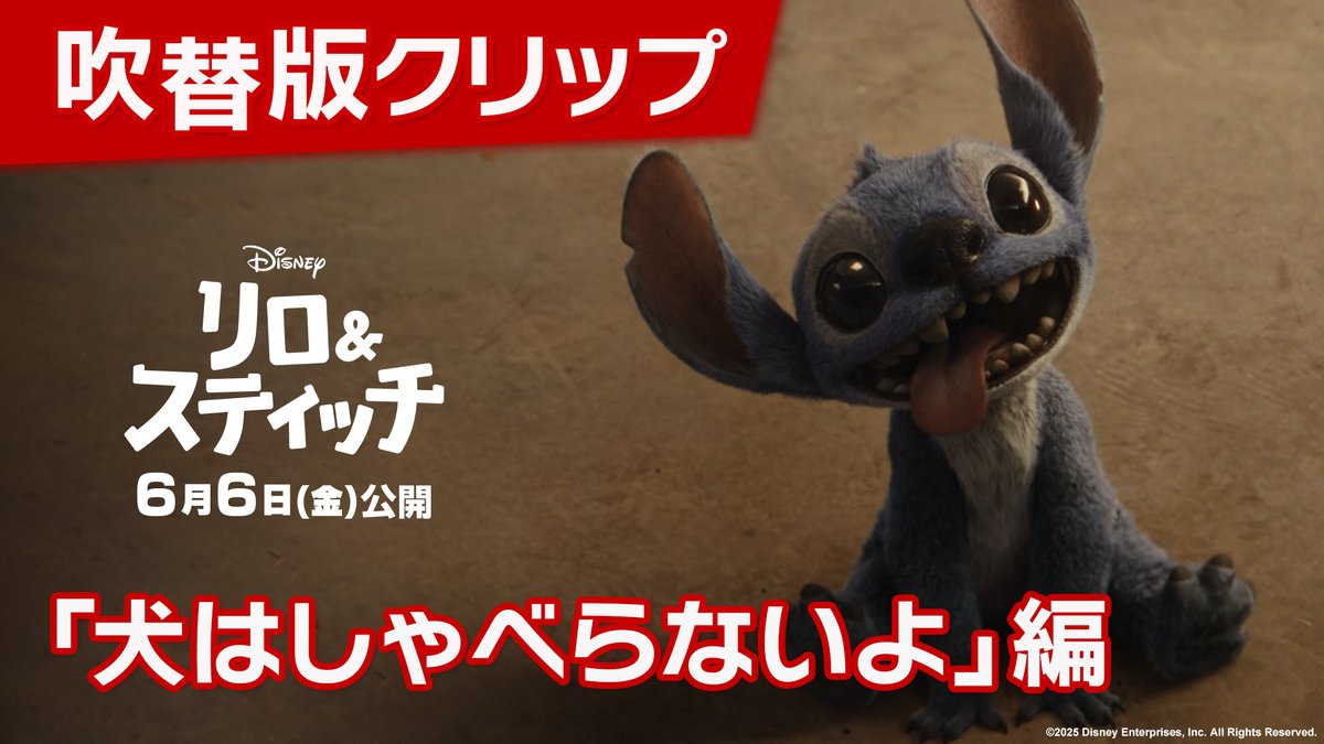 📢吹替版クリップ解禁 「この子が一番!しゃべるんだよ?」 「犬はしゃべらないよ」 🗣️日本版声優 リロ役 #永尾柚乃 さん スティッチ役 #山寺宏一 さん リロと #スティッチ が出会った運命のシーン🐾 実写版『#リロアンドスティッチ』 𝟲/𝟲(金)劇場公開🌺