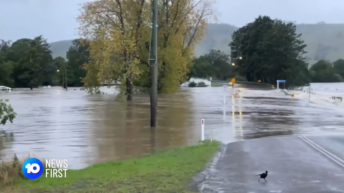 Australia: "If people don’t move now, it may be too late to be rescued" 🌊