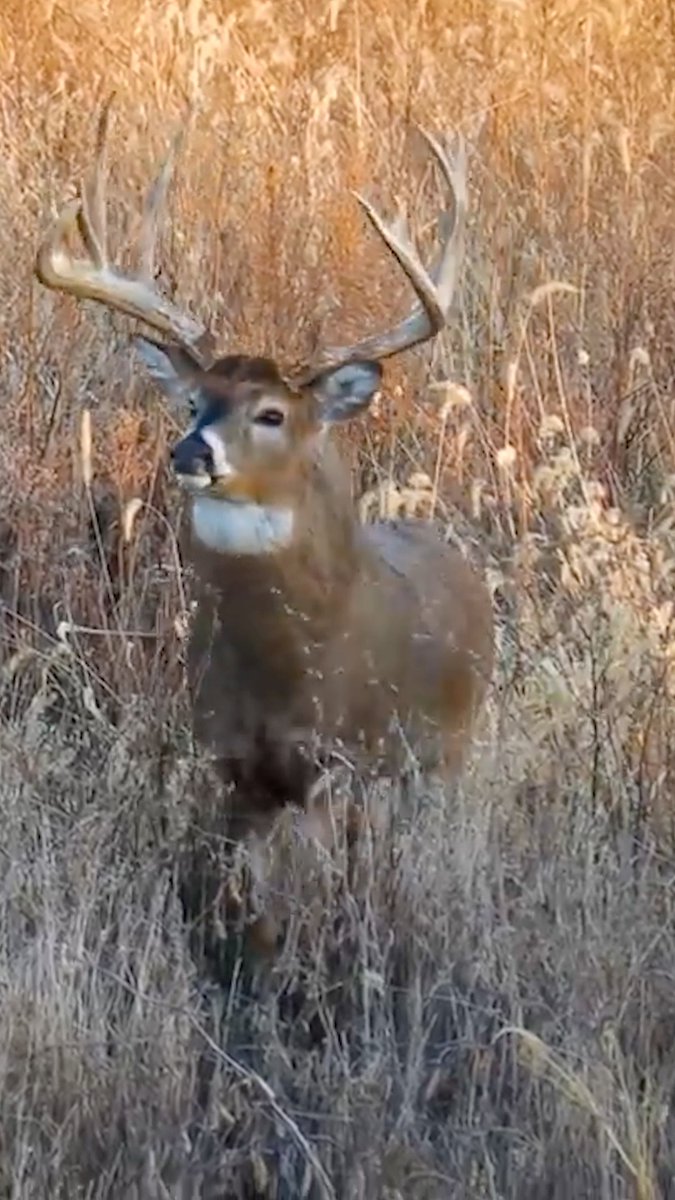 Dreaming of scenes like this. #Realtree