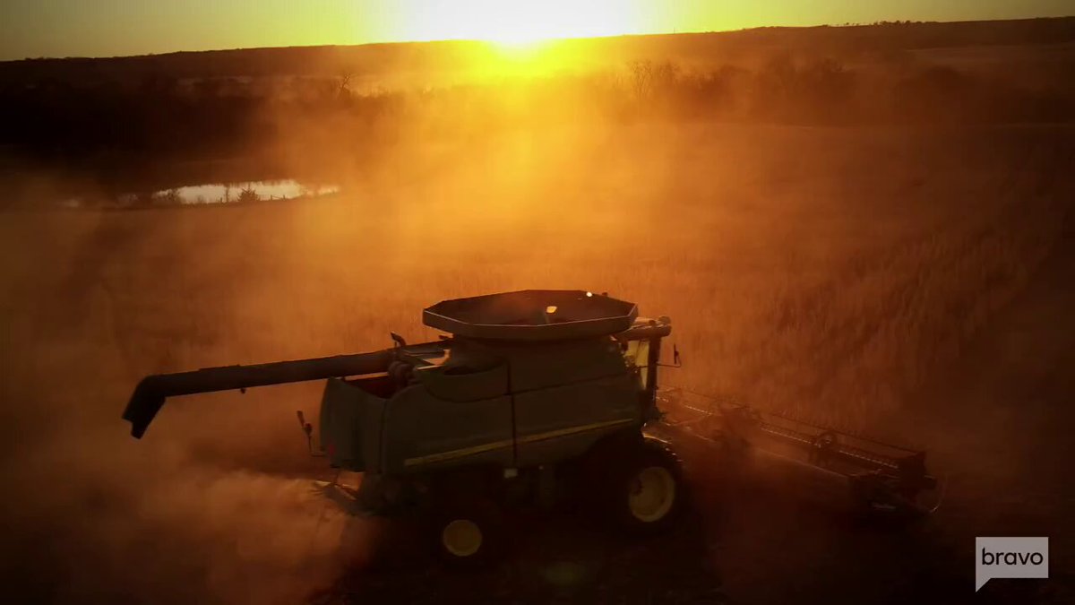 Feuds, farms, and a family legacy like you've never seen before. Saddle up for the season premiere of #TheMcBeeDynasty: Real American Cowboys, arriving June 30th on Bravo 🐎