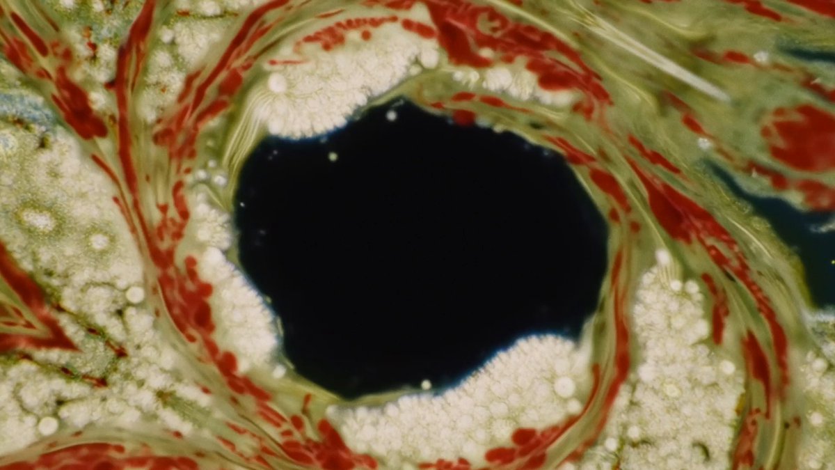 primordial soup labs darren aronofsky Here’s the trailer for ANCESTRA, directed by Eliza McNitt. This is the studio’s first short film, blending live action and Veo-generated content. 🍿 #GoogleIO