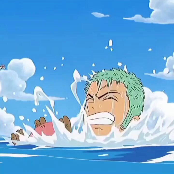 Zoro and Chopper ❤️
