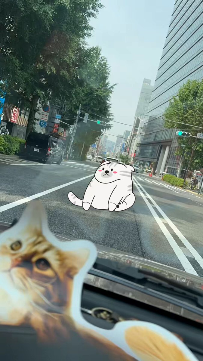 新宿から木更津まで 40秒で完走するなめこ 今日は、 建築打合せ、新農作物の植え込み、 猫像作り、雑草処理をやっていきます！