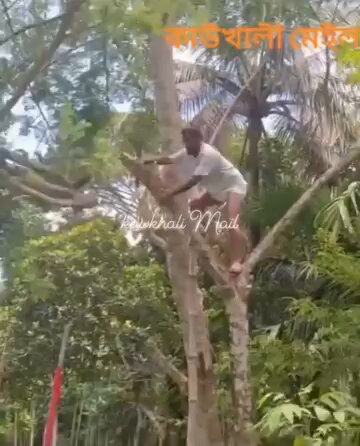 কাউখালিতে বিএনপি ছাড়া কেউ থাকতে পারবে না ইনশাআল্লাহ। প্রকৃতির প্রতিশোধ..!!