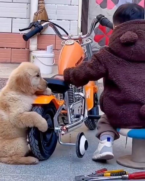 Aww so adorable friends moment 🥰