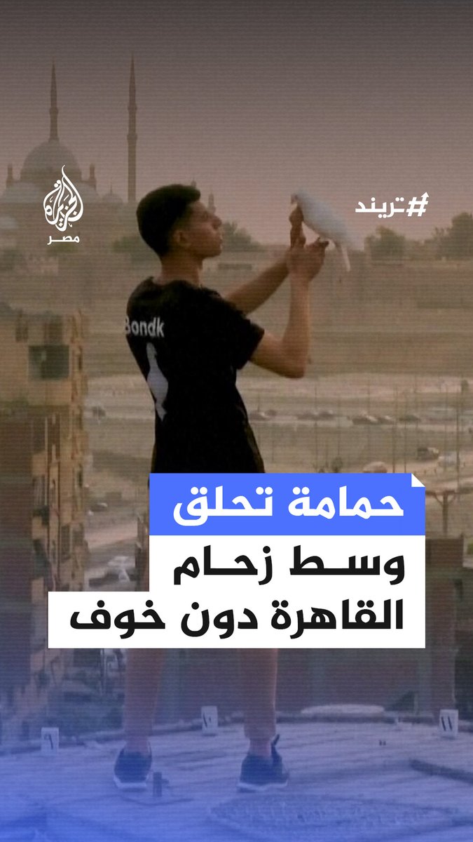 تدرب على الاستجابة لنداءات صاحبه واكتسب مهارات عدة.. بندق طائر يحلق بلا خوف بجوار دراجة بخارية في منظر لافت بشوارع القاهرة #تريند