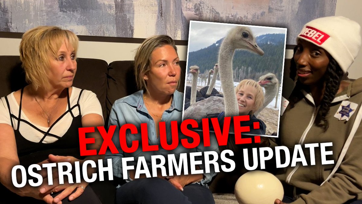 Science or slaughter? Ostrich farmers expose more hypocrisy in CFIA's plans to cull healthy flock Edgewood, B.C., ostrich farmers Karen Espersen and Katie Pasitney explain why the Canadian Food Inspection Agency's plans defy both logic and science. In a heartfelt interview with Rebel News, Universal Ostrich Farms co-owner Karen Espersen and her daughter, Katie Pasitney, share their deep connection to their exotic flock of 400 healthy ostriches — birds the Canadian Food Inspection Agency (CFIA) has pledged to cull without further notice to the farm. Beyond loving and caring for the birds like family, the farmers are gravely concerned that the state is jeopardizing vital scientific research involving the ostriches — research that includes extracting robust antibodies from ostrich eggs to explore their potential in defending against viruses such as COVID-19 and avian flu. "To bring something natural back to the animal sector and the human health factor — and that was the antibodies," said Pasitney. Despite mounting public and political pushback, the CFIA has confirmed it will proceed with culling the entire flock due to concerns over avian influenza, even though the ostriches are asymptomatic. The family emphasizes that the remaining birds appear to have developed natural immunity, making them invaluable to ongoing virus-prevention research. To document and report on these developments, arrangements have been made for me to remain on-site at the farm, embedded with the growing number of protestors camping out in a last-ditch effort to stop the cull.