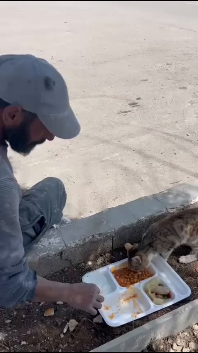 Yemeğini sokak kedisiyle paylaşan arkadaş içimizi ısıttı