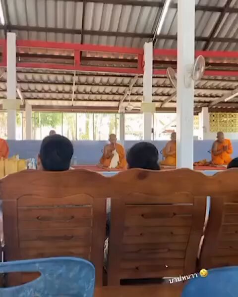 kitty’s feeling the positive energy