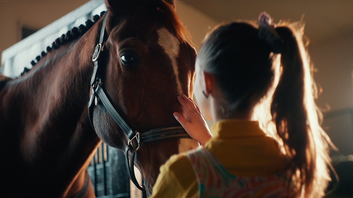 Dear Spruce Meadows, thank you for 50 years of memories and partnership. From humble beginnings to a world-class sport and entertainment venue, Spruce Meadows has embodied excellence, innovation and the power of community, the same values that ATCO was founded on. As we celebrate this milestone, we look forward to continuing our partnership for generations to come. Learn more: