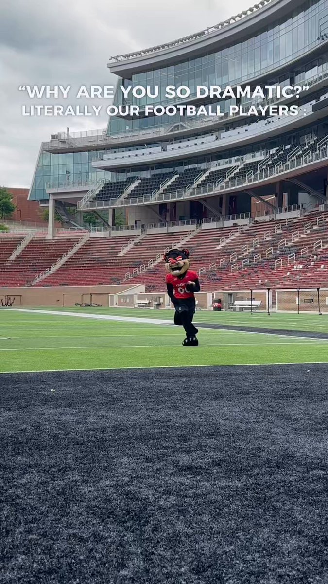 so dramatic 😂 Bearcat