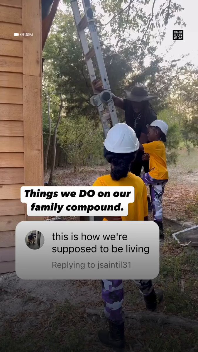 Black Americans buying land, building homes, growing food, having cookouts, family reunions and homeschooling their children