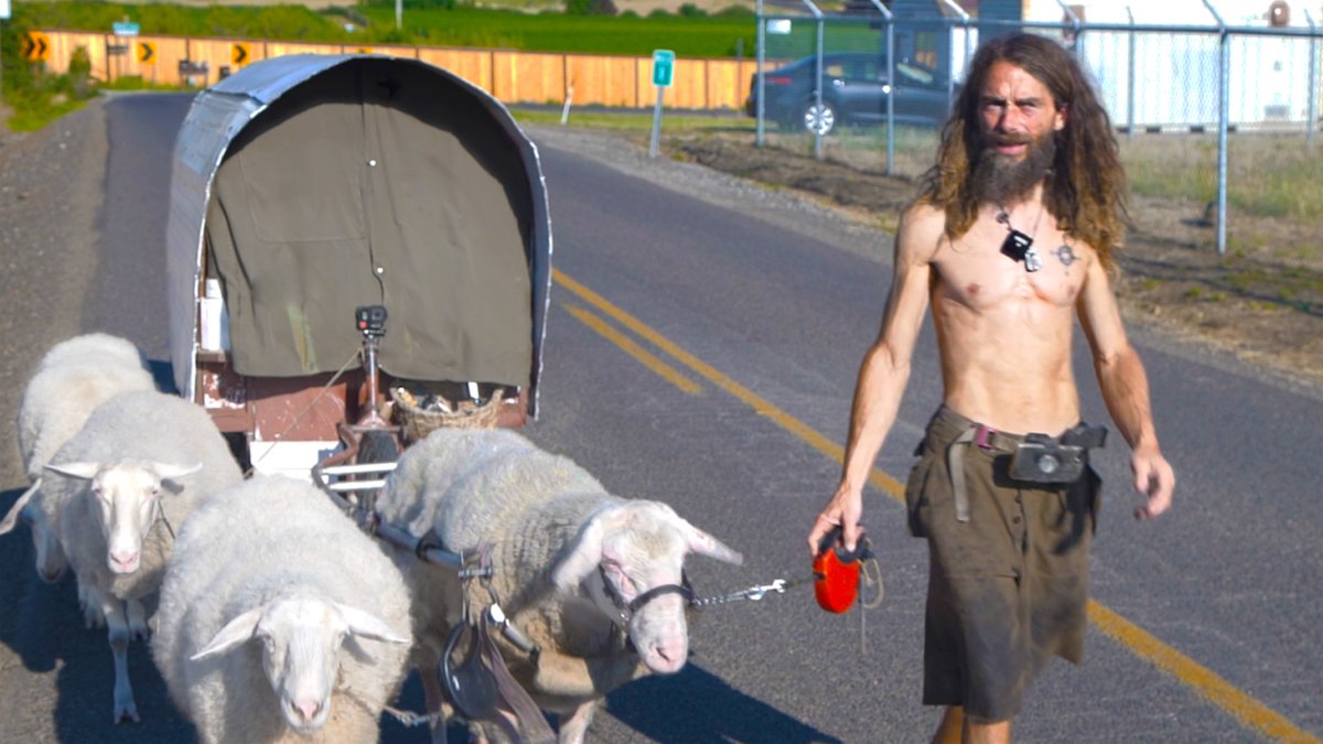 Meet the nomad prepping for doomsday with sheep