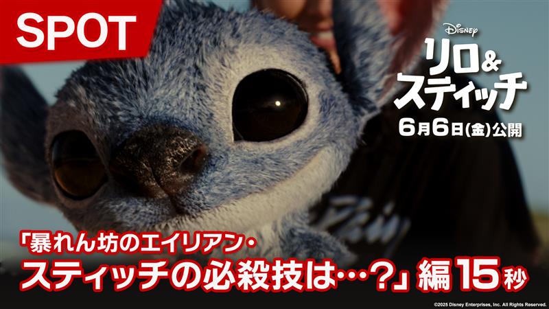 ⠀⠀キュートでモフモフ💙 ╰┈┈┈┈┈⠢⠔┈┈┈┈┈╯ 暴れん坊のエイリアン #スティッチ が この夏、映画館に襲来🚀💥 必殺技は…? 🐾 ⋆⸜ 砂潜り ⸝⋆ ⋆⸜ ヨダレ攻撃 ⸝⋆ 🐾 🐾 ⋆⸜ 恐怖!<無限>鬼ごっこ ⸝⋆ 🐾 実写版『#リロアンドスティッチ』 𝟲/𝟲(金)劇場公開🌺