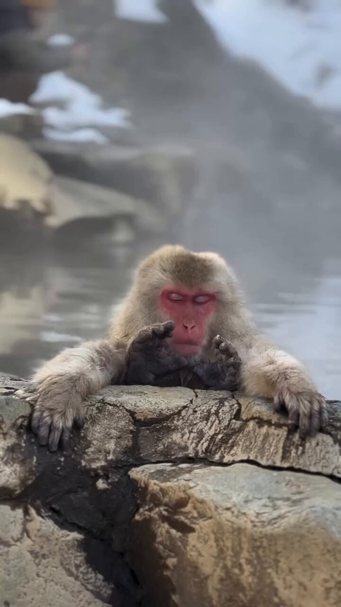 Waiting for my portfolio to 10x so i can finally live my life