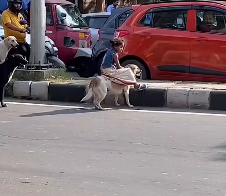 अपनी सेना के साथ राजकुमारी,,❤️ इतनी तगड़ी सिक्योरिटी मैने पहली बार देखी है🥰