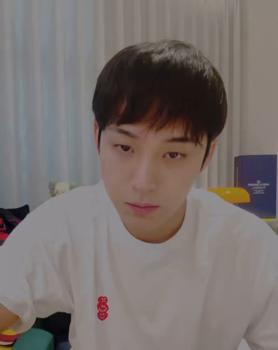 mingyu’s hair 🤍