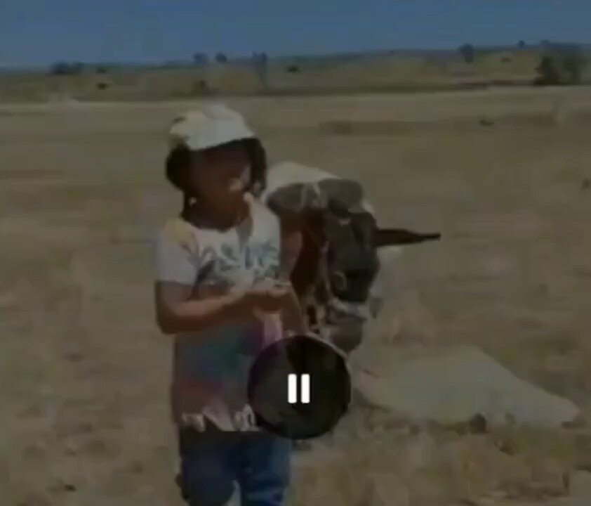 Koca yürekli çocuk 🤗🤗 "Onu da Allah yaratmadı mı Gel ben sana biniyim bu sıcakta gör "