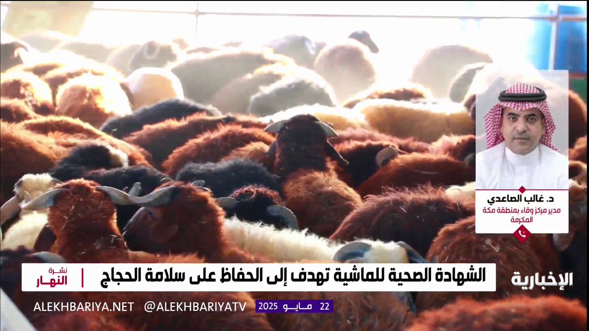 مدير عام مركز وقاء بمكة د. غالب الصاعدي: حفاظا على سلامة الحجاج تعمل مراكزنا على مدار الساعة للتأكد من صحة المواشي المنقولة إلى مكة #الحج_عبر_الإخبارية #نشرة_النهار | #الإخبارية