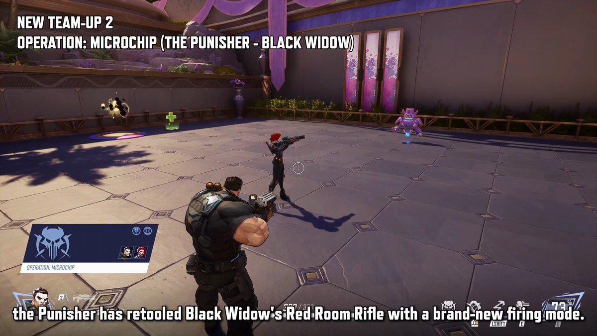 Punisher and Widow new team up: Operation Microchip #MarvelRivals