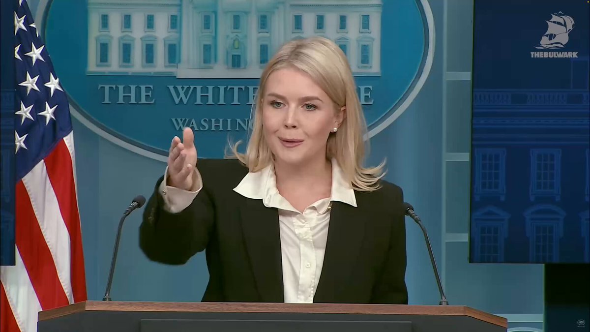 Karoline Leavitt is left flummoxed when pressed about Trump's claims of white genocide in South Africa: