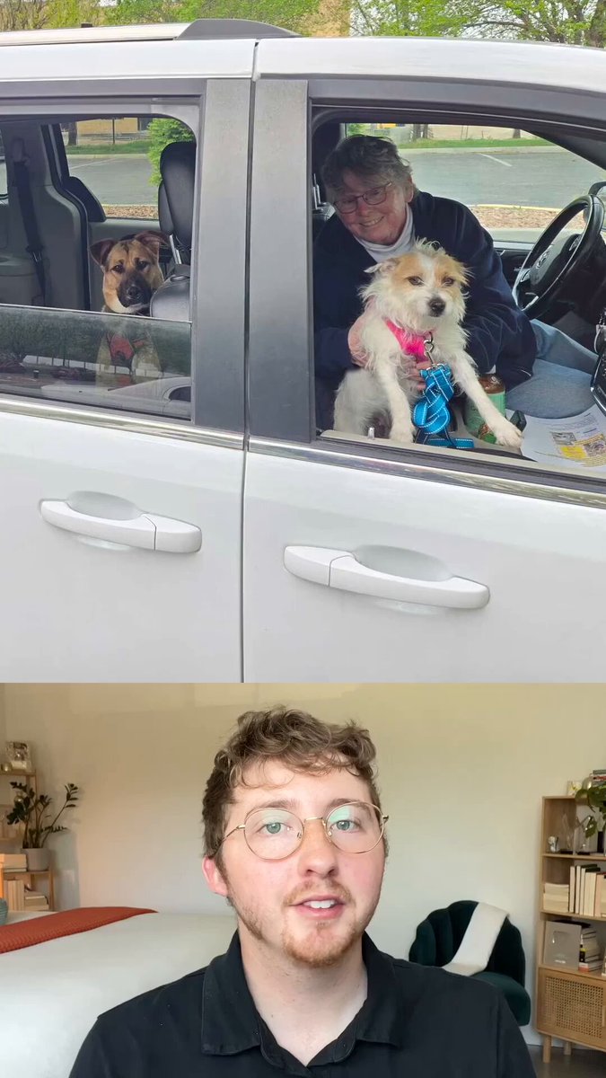 These rescue dogs just took an epic road trip across America to find their forever homes ❤️ Best Western Hotels & Resorts #partner