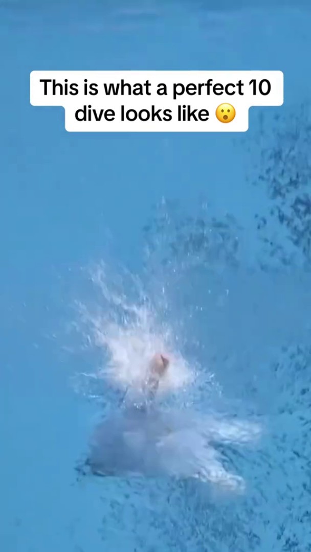 If you've ever wondered what a PERFECT dive looks like, look no further. 😲