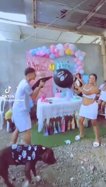 El gallo: ah po fui yo que preñé?