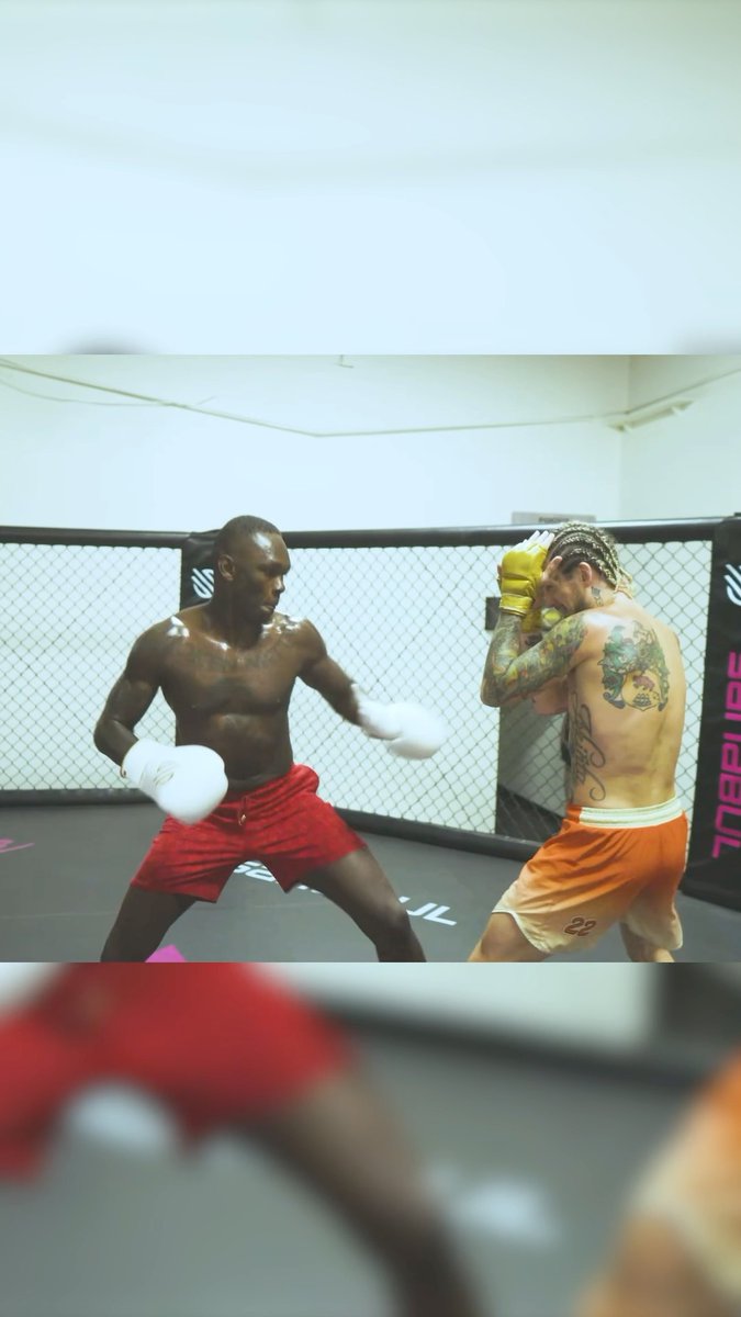 Suga X Izzy training session Via Sean O'Malley