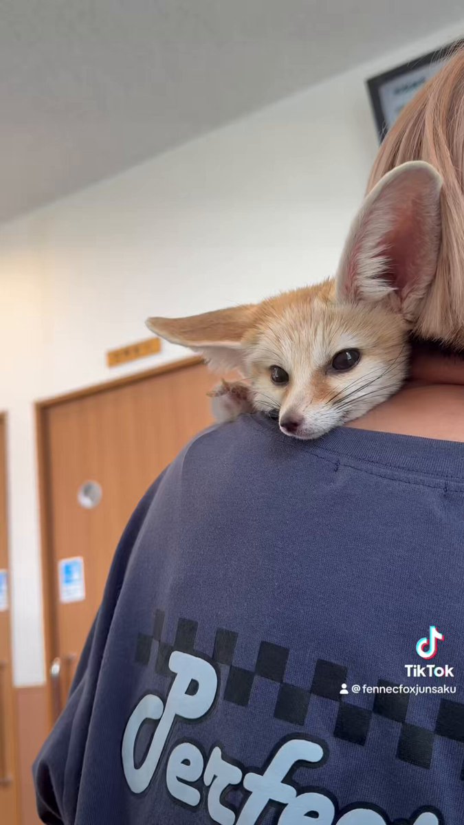 昨日は動物病院で2時間待ちだったけど、なんとか我慢できました笑