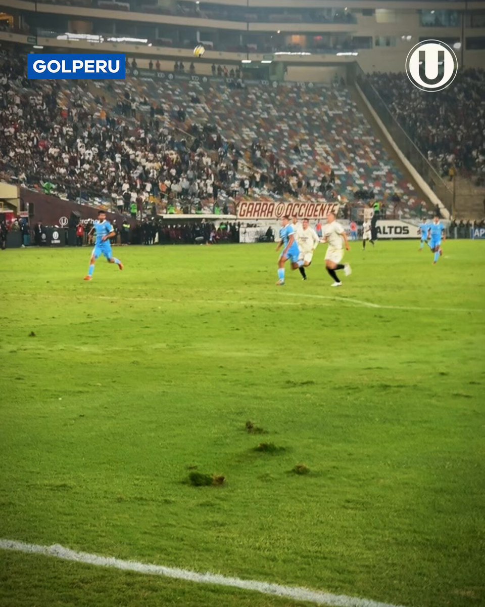 👉 𝗙𝗨𝗘𝗥𝗧𝗘𝗦 𝗗𝗘 𝗟𝗔 𝗖𝗔𝗕𝗘𝗭𝗔, 𝗦𝗜𝗘𝗠𝗣𝗥𝗘 👈 #LaGarraDelÚnicoGrande