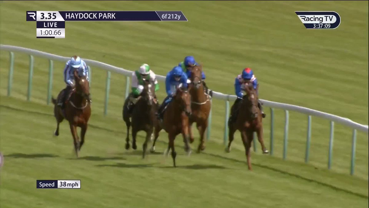 💙 Wild Desert blows his rivals to pieces on debut for Charlie Appleby at Haydock. A half-brother to Earthlight & Shadow Of Light with a huge future, that was impressive! 🚀