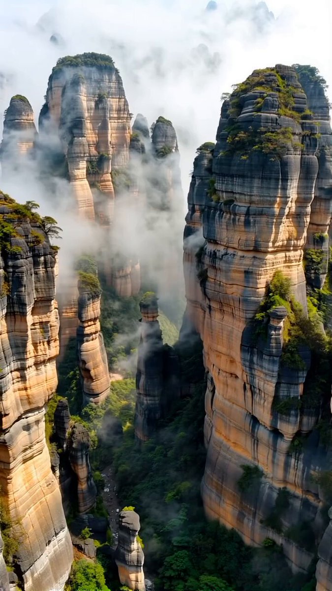 The wonders of nature are breathtaking.👍🙏🌷