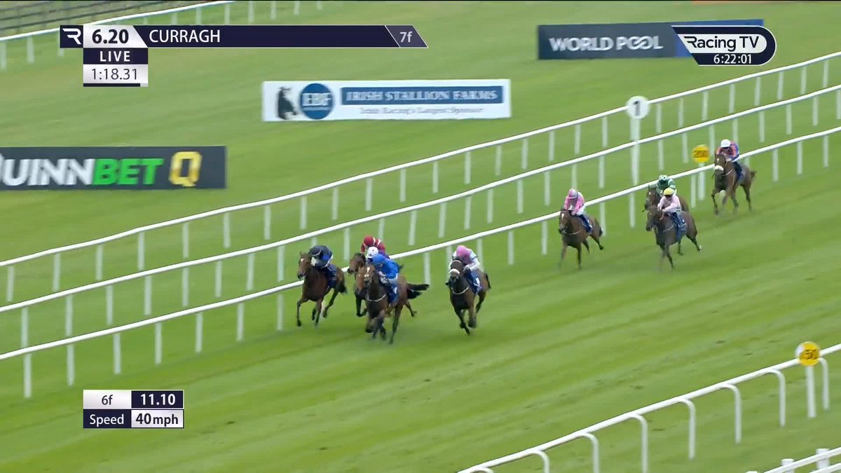 Exciting ⚡️ Kingman filly 𝐅𝐢𝐧𝐠𝐞𝐫𝐩𝐚𝐢𝐧𝐭 (5-2) flies home on debut in the seven-furlong Irish Stallion Farms Maiden The Curragh Racecourse Juddmonte | Chris Hayes