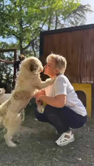 Sessiz kaldığımı sanmayın. Geldiğim yeri, yürüdüğüm yolu unutmayın. Bekleyin… Mücadele yeni başlıyor. 🐾 #SokakHayvanlarıSahipsizDeğil